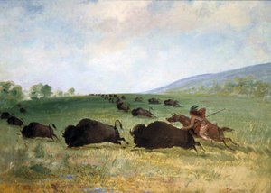 Ein Osage-Indianer, der einen Büffel lanzt von George Catlin