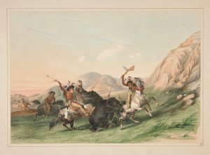 Angriff auf den Grizzlybären, pl. 19 aus dem Nordamerikanischen Indianer-Portfolio