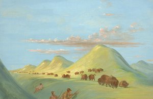 Batiste, Bogard und ich nähern uns Büffeln am Missouri von George Catlin