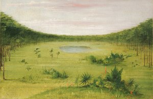 Schöne Savanne in den Kiefernwäldern Floridas von George Catlin