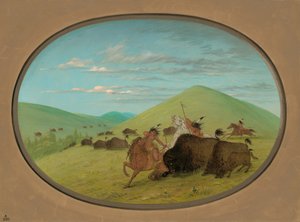 Büffeljagd - Bullen schützen die Kälber von George Catlin