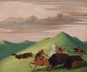 Büffeljagd, Bulle schützt Kuh und Kalb von George Catlin
