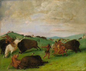 Büffeljagd, Bullen im Kampf mit Männern und Pferden, 1832-1833