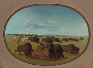 Büffeljagd mit Unfällen, 1861-1869