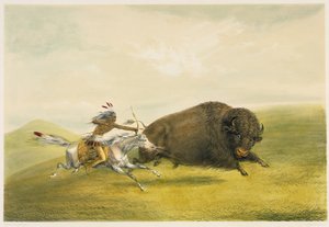 Büffeljagd (Farblithografie)