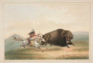Büffeljagd, Verfolgung, Tafel 5 aus dem Nordamerikanischen Indianer-Portfolio