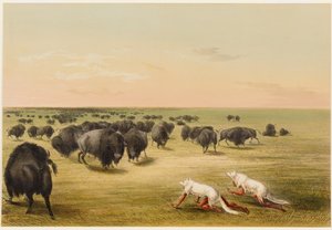  von George Catlin