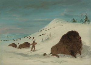 Büffeljagd in den Schneeverwehungen - Sioux, 1861-1869 von George Catlin