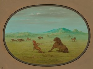 Wilde Pferde fangen - Pawnee