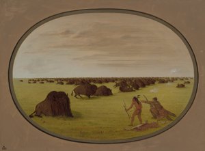 Catlin und Indianer greifen Büffel an, 1861-1869