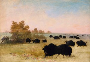 Catlin und Gruppe pirschen Büffel, Oberer Missouri von George Catlin