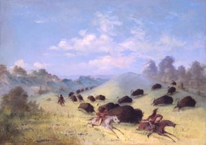 Comanche-Indianer jagen Büffel mit Lanzen und Bögen von George Catlin