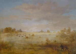Elch weidet auf einer Herbstprärie von George Catlin