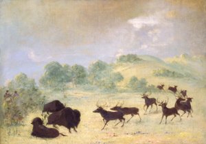 Elch und Büffel machen Bekanntschaft, Texas