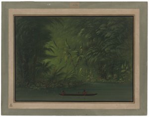 Eingang zu einer Lagune, Ufer des Amazonas von George Catlin