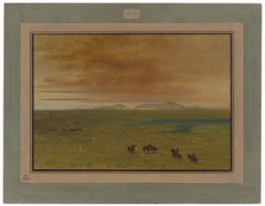 Grand Lavoir, Pampa del Sacramento von George Catlin