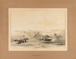 Indianer jagen Büffel - Nr. 29 von George Catlin