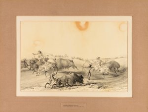 Indianer jagen Büffel--Nr. 7 von George Catlin