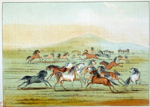 Wilde Pferde, die von Indianern gejagt werden. Illustration von George Catlin