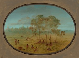 Kiowa-Indianer sammeln wilde Trauben von George Catlin