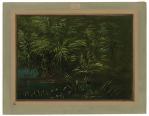 Üppiger Wald am Ufer des Amazonas von George Catlin