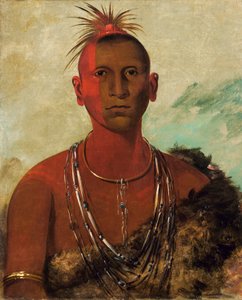 Náh-se-ús-kuk, Wirbelnder Donner, Ältester Sohn von Black Hawk von George Catlin