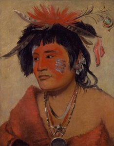 Pah-shee-náu-shaw, ein Krieger von George Catlin