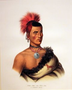 Pawnee-Häuptling Pes Ke Le Cha Co von George Catlin
