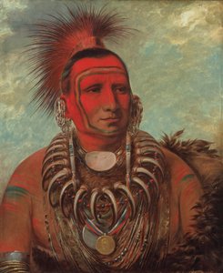 Shon-ta-yi-ga, Kleiner Wolf, ein berühmter Krieger von George Catlin