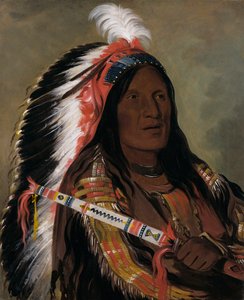 Táh-téck-a-da-háir, Steiler Wind, ein Tapferer der Bad Arrow Points Band von George Catlin