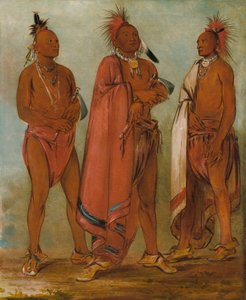 Wa-másh-ee-sheek, Der, der wegnimmt; Wa-chésh-uk, Krieg; Mink-chésk, Drei herausragende junge Männer von George Catlin