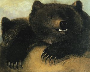 Waffen und Physiognomie des Grizzlybären von George Catlin
