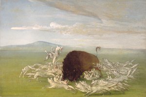 Weiße Wölfe greifen einen Büffelbullen an von George Catlin