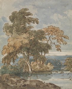 Bäume an einem Fluss