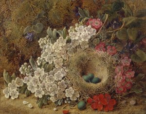 Ein Vogelnest und Blüten auf einem moosigen Ufer