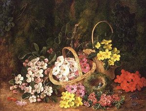 Frühlingsblumen in Körben