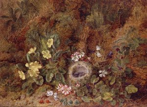 Stillleben mit Vogelnest und Wildblumen