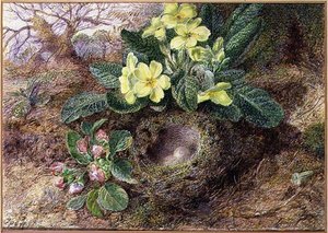 Stillleben mit Primeln und Vogelnest von George Clare