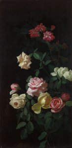 Rosen