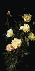 Rosen, 1878