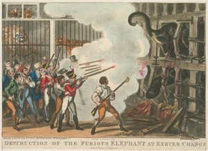 Zerstörung des wütenden Elefanten bei Exeter Change, 1826 von George Cruikshank