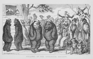 Mitglieder der Zoologischen Gesellschaft von George Cruikshank