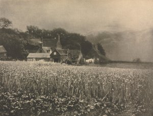 Camera Work: Das Zwiebel-Feld - 1890 von George Davison