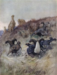 Illustration für Die Geschichte eines Rotwilds von George Denholm Armour