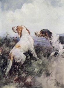 Setter von George Denholm Armour