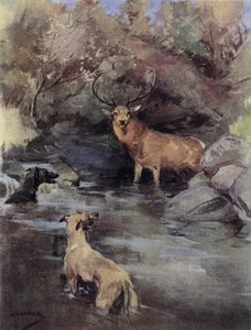 Hirsch in der Enge
