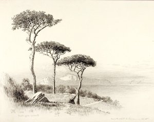 Capri von Sorrent von George Elbert Burr