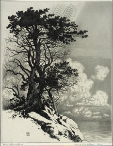 Küste bei Monterey, Kalifornien von George Elbert Burr