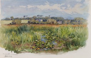 Criccieth, N Wales von George Elbert Burr