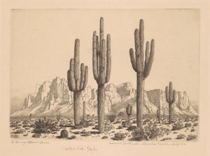Wüstensentinellen, Apache Trail, Arizona von George Elbert Burr
